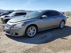 Salvage cars for sale at North Las Vegas, NV auction: 2014 Nissan Maxima S