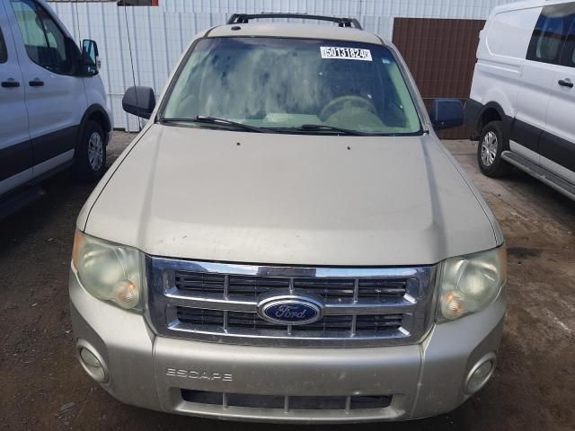 2011 Ford Escape XLT