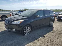 Salvage cars for sale at Anderson, CA auction: 2013 Ford Escape SEL