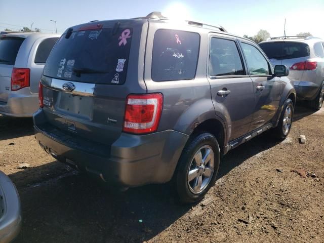 2010 Ford Escape Limited