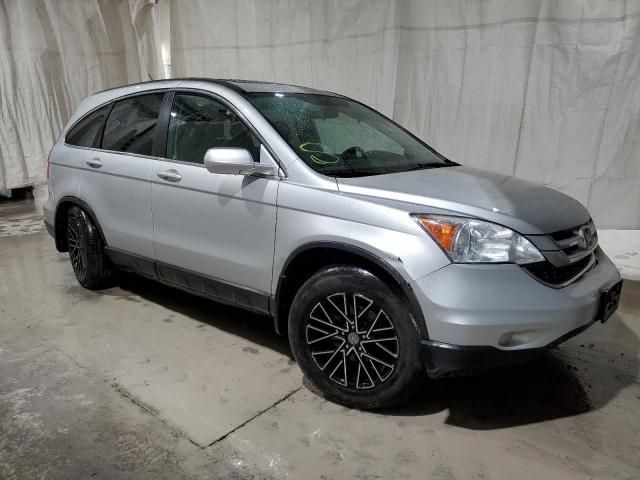 2010 Honda CR-V EXL