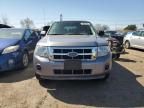 2008 Ford Escape XLS