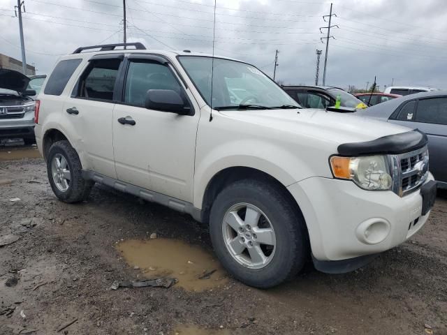 2009 Ford Escape XLT