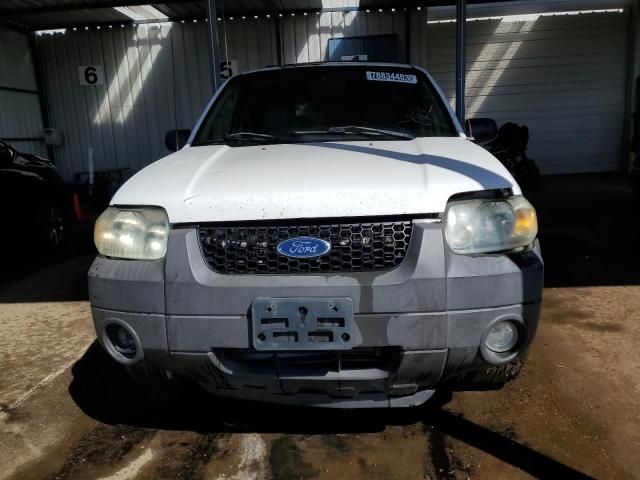 2006 Ford Escape XLT