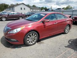 Salvage cars for sale from Copart York Haven, PA: 2014 Hyundai Sonata SE