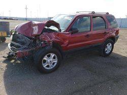 Vehiculos salvage en venta de Copart Greenwood, NE: 2004 Ford Escape XLT