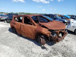 Vehiculos salvage en venta de Copart Fort Pierce, FL: 2017 Toyota Rav4 LE