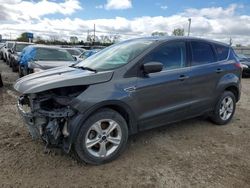 Ford Escape se salvage cars for sale: 2016 Ford Escape SE