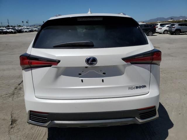 2019 Lexus NX 300H