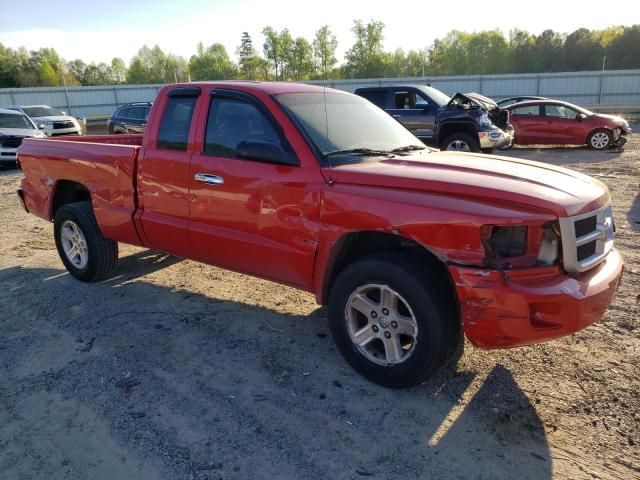 2011 Dodge Dakota SLT