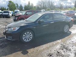 Salvage cars for sale at Portland, OR auction: 2013 Honda Accord EXL