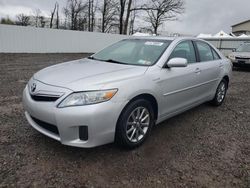 Salvage cars for sale at Central Square, NY auction: 2011 Toyota Camry Hybrid