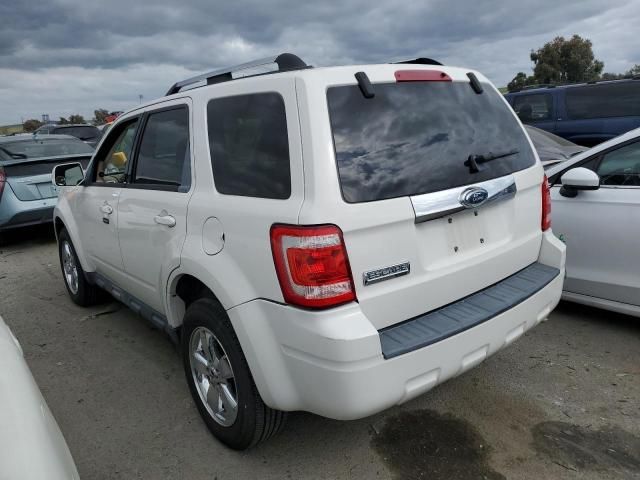 2009 Ford Escape Limited