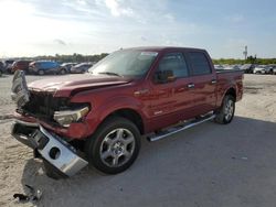 Salvage cars for sale from Copart West Palm Beach, FL: 2014 Ford F150 Supercrew