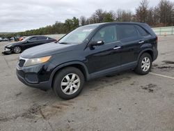 KIA Sorento Base salvage cars for sale: 2011 KIA Sorento Base