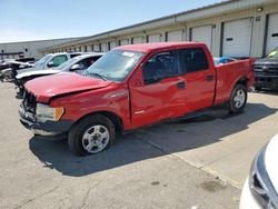 Salvage cars for sale from Copart Louisville, KY: 2014 Ford F150 Supercrew