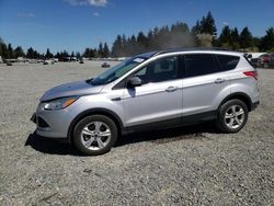 Salvage cars for sale at Graham, WA auction: 2014 Ford Escape SE