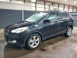 Salvage cars for sale at Columbia Station, OH auction: 2014 Ford Escape SE