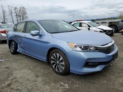 Salvage cars for sale at Arlington, WA auction: 2017 Honda Accord Hybrid