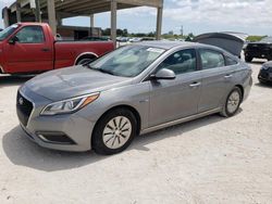 Salvage cars for sale at West Palm Beach, FL auction: 2017 Hyundai Sonata Hybrid