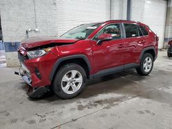 Salvage cars for sale at Ham Lake, MN auction: 2020 Toyota Rav4 XLE