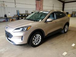 Vehiculos salvage en venta de Copart San Antonio, TX: 2020 Ford Escape SE