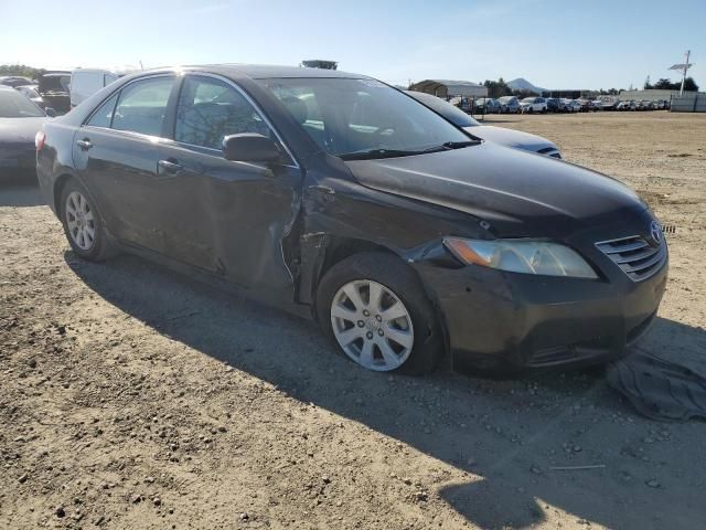 2008 Toyota Camry Hybrid