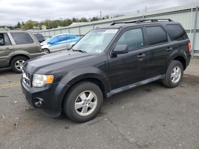 2011 Ford Escape XLT