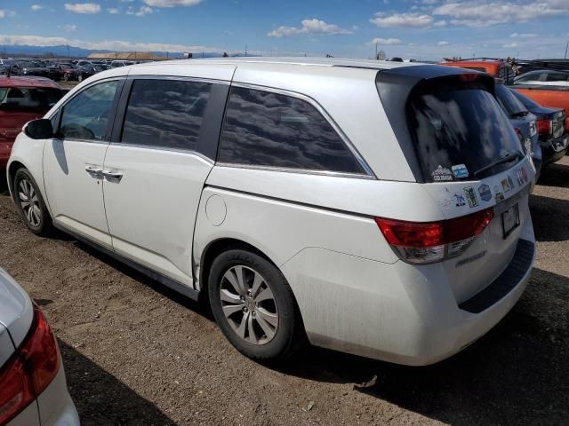 2014 Honda Odyssey EXL