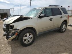 Salvage cars for sale at Bismarck, ND auction: 2010 Ford Escape XLT