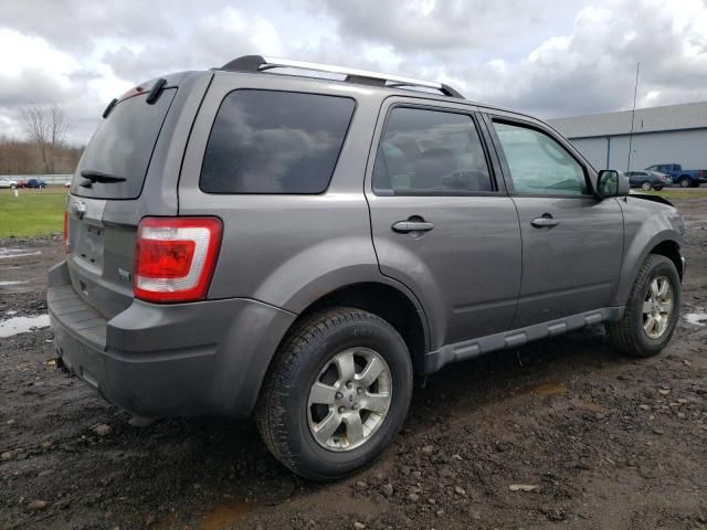 2011 Ford Escape Limited