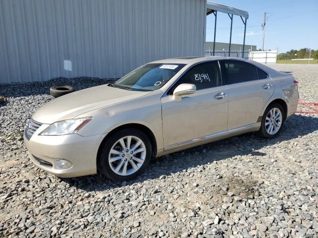 2011 Lexus ES 350