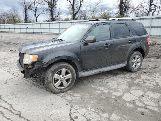 2009 Ford Escape Limited