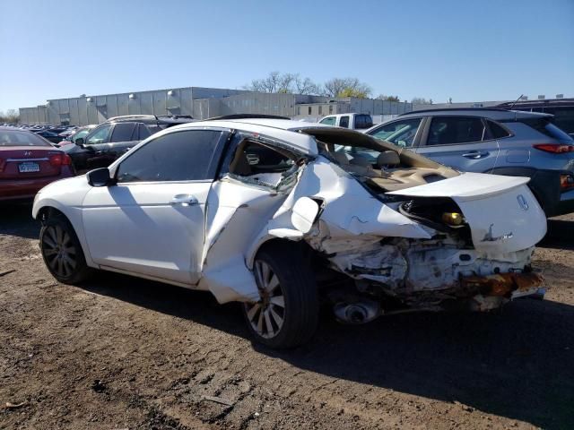 2010 Honda Accord EXL