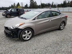 Salvage cars for sale at Graham, WA auction: 2013 Hyundai Elantra GLS