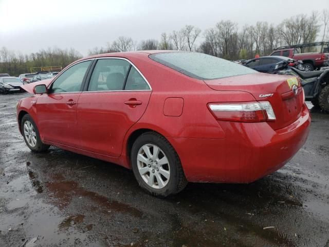 2009 Toyota Camry Hybrid