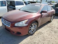Salvage cars for sale at San Martin, CA auction: 2013 Nissan Maxima S