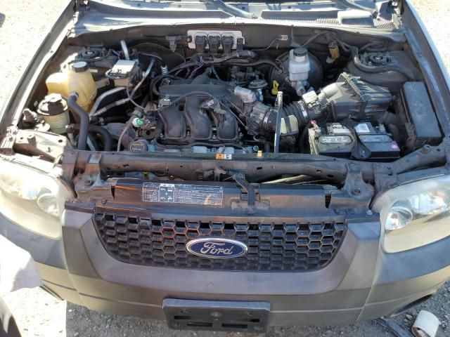 2005 Ford Escape XLT