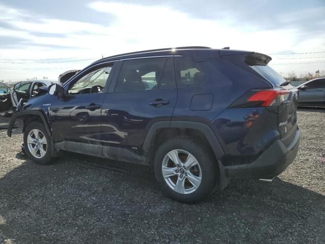 2019 Toyota Rav4 XLE