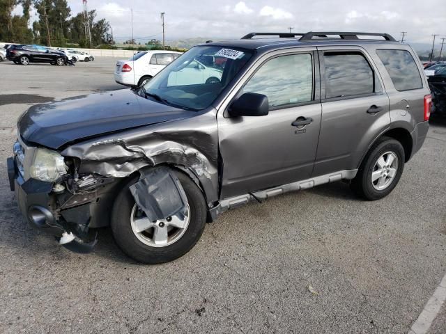 2009 Ford Escape XLT