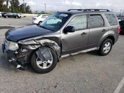 Salvage cars for sale at Van Nuys, CA auction: 2009 Ford Escape XLT