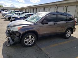 Salvage cars for sale from Copart Louisville, KY: 2010 Honda CR-V EX