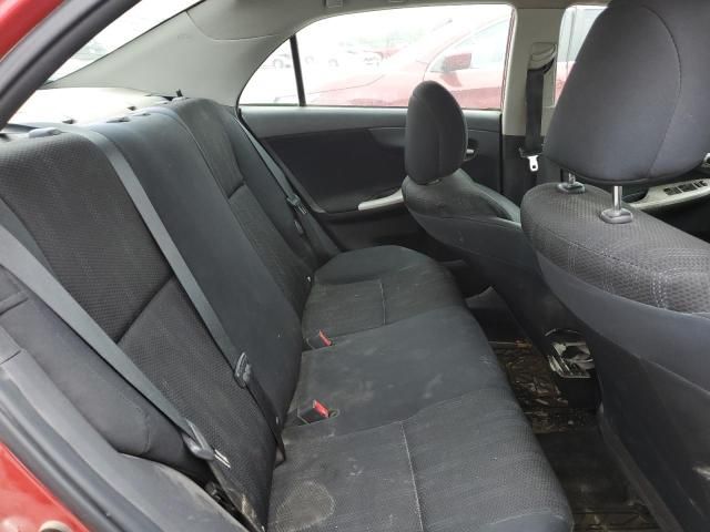 2011 Toyota Corolla Base