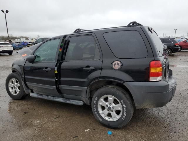 2007 Ford Escape XLT