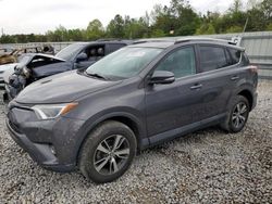 Salvage cars for sale at Memphis, TN auction: 2016 Toyota Rav4 XLE