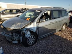 Vehiculos salvage en venta de Copart Phoenix, AZ: 2010 Honda Odyssey EXL