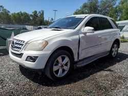 2011 Mercedes-Benz ML 350 for sale in Riverview, FL
