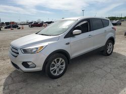 Salvage cars for sale from Copart Indianapolis, IN: 2019 Ford Escape SE