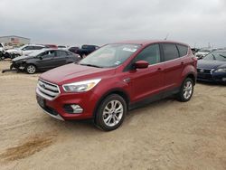 Salvage cars for sale from Copart Amarillo, TX: 2019 Ford Escape SE