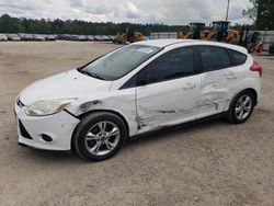 Salvage cars for sale at Harleyville, SC auction: 2013 Ford Focus SE